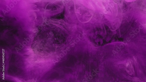 Wallpaper Mural Color fume explosion. Logo reveal. Paint water drop. Dye splash. Neon magenta pink purple smoke cloud flow animation on black background for intro. Torontodigital.ca