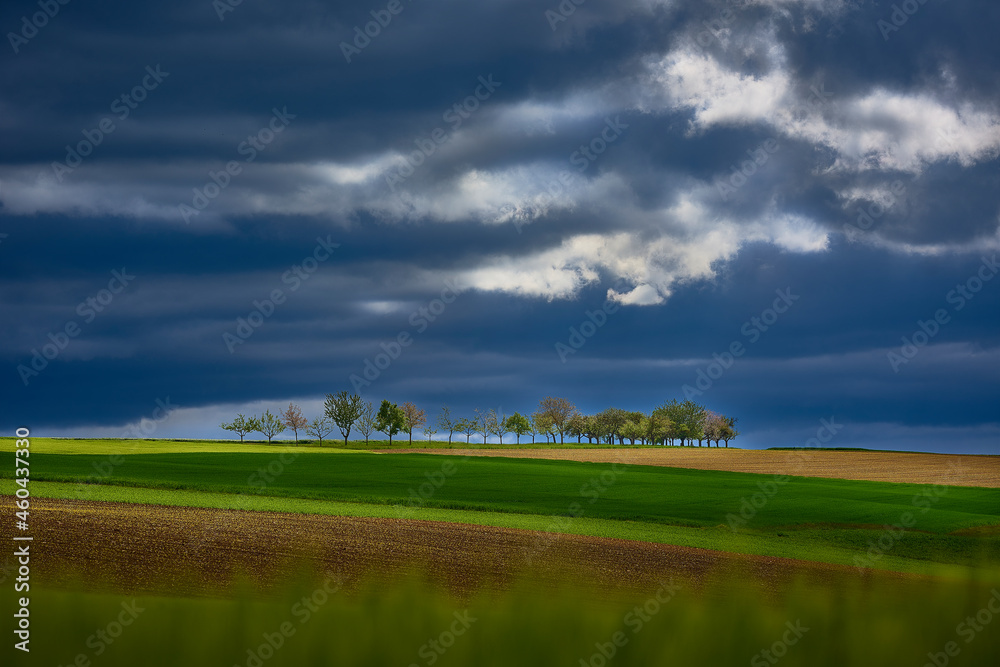 Fototapeta premium unterfränkische Agrarlandschaft mit starken Wolken