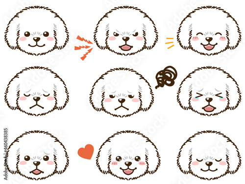 トイプードル（白）の表情顔アイコン