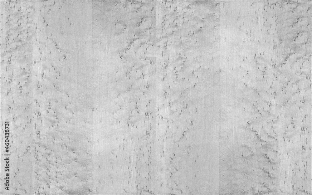 White Birdseye maple wood veneer high resolution