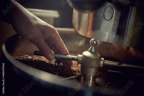 Wallpaper Mural Man's hands holding freshly roasted aromatic coffee beans over a coffee roasting machine. Torontodigital.ca