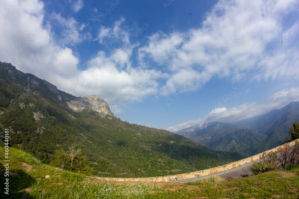 landscape in the summer