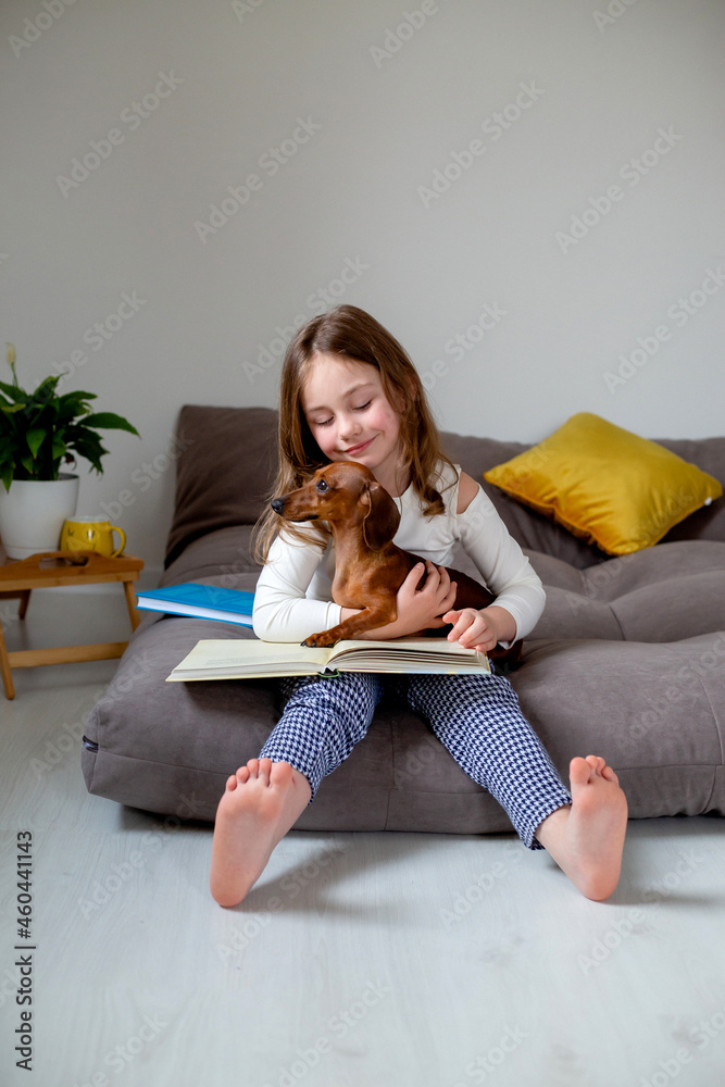 cute little girl with a dwarf dachshund is sitting on the bed and ...