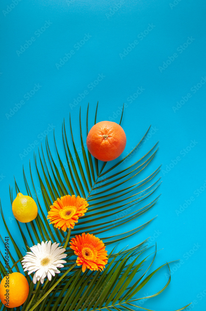 Summer tropical fruit and green palm  flowers layout blue background.Minimal flat lay