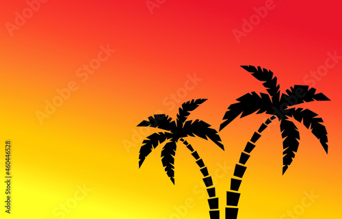 Palm trees and sun abstract  summer background with free space