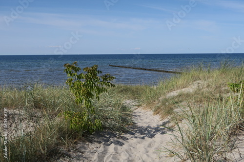 Fototapeta Naklejka Na Ścianę i Meble -  Auf der Ostseeinsel Poel gibt es im Ort Am Schwarzen Busch eine schöne Aussicht von den Dünen auf die Ostsee.	