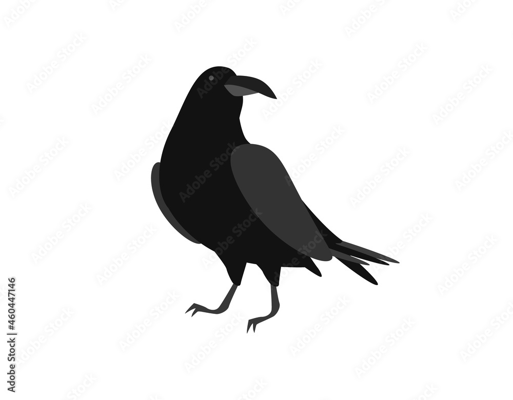Obraz premium Black raven. Brooding bird sits on surface with its head turned symbol of ancient mysticism and vector witchcraft.