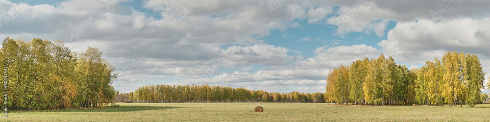 Beautiful countryside landscape with colorful forest, fields and one roll of hay on fall day