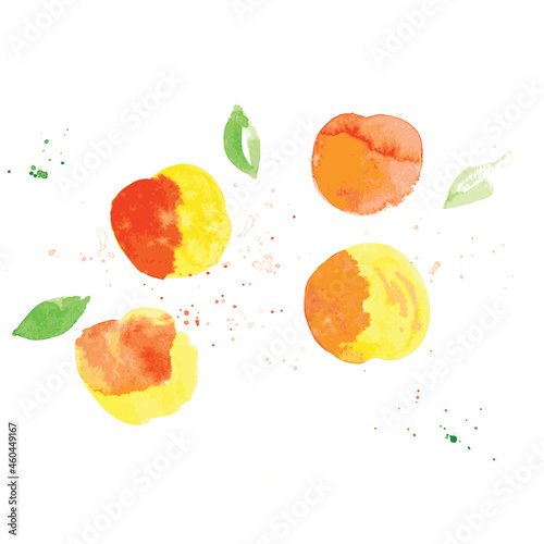 Fototapeta Naklejka Na Ścianę i Meble -  Fresh peach. Hand drawn Watercolor food illustration. Vector