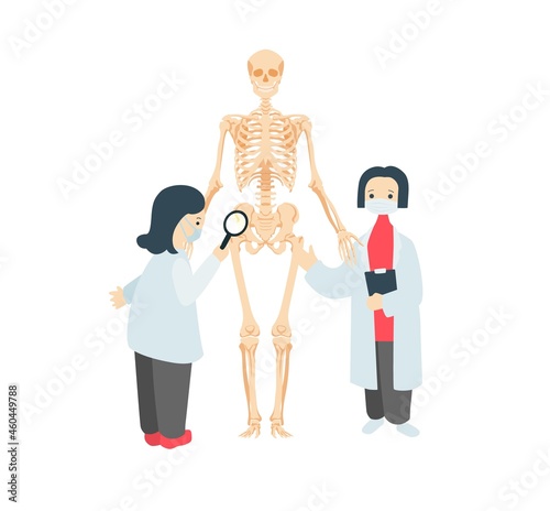 Doctors examining human skeleton. Scientists in coats examining structure of bones diagnostics bone and internal vector diseases.