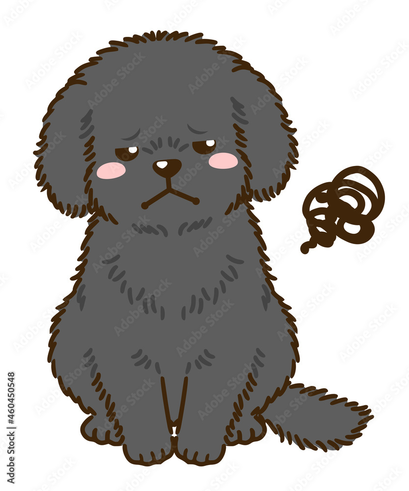 不満があるトイプードル（黒）