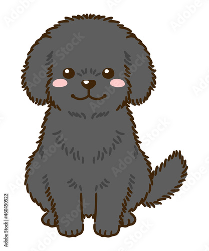 トイプードル（黒）