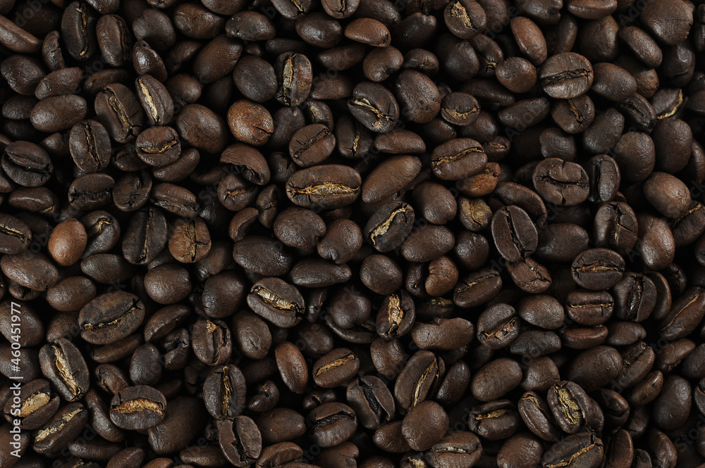 Fototapeta premium coffee beans - freshly roasted beans close-up photo