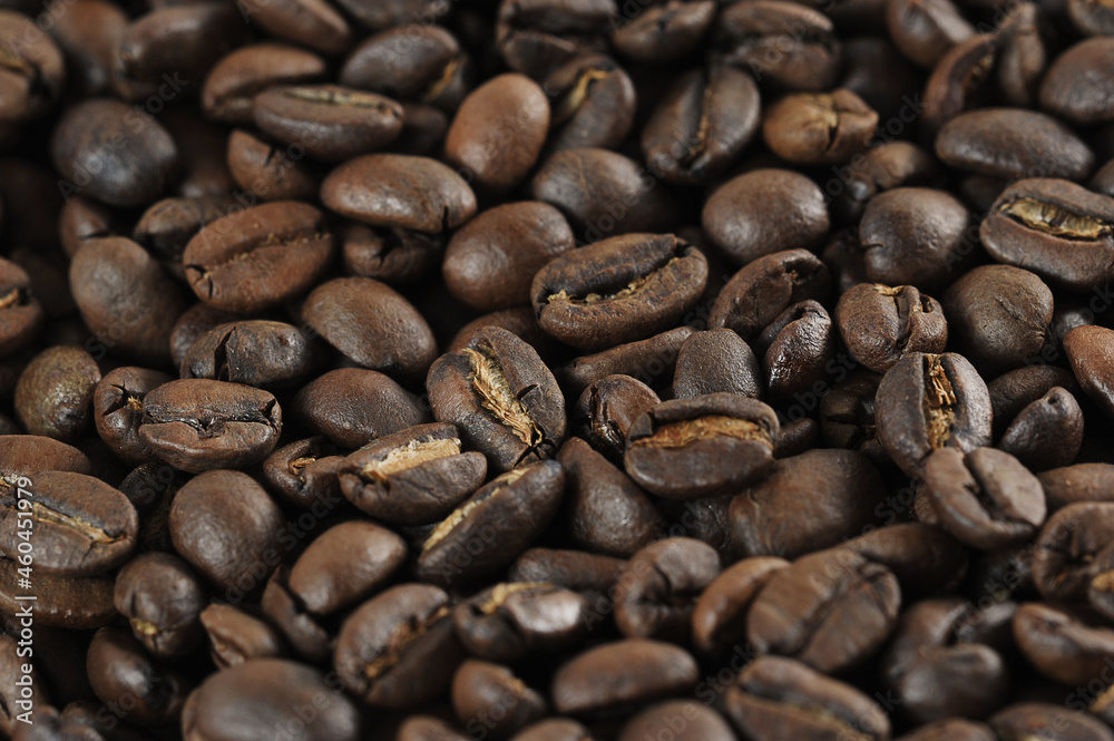 Fototapeta premium coffee beans - freshly roasted beans close-up photo