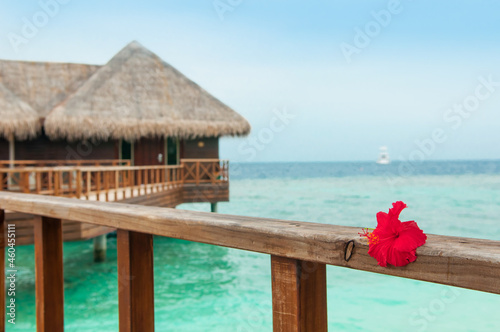Water bungalow on the islands of the Maldives  a beach with palm trees and azure water. Vacation concept  travel to Paradise Beach in Maldives. A hotel in a tropical paradise.