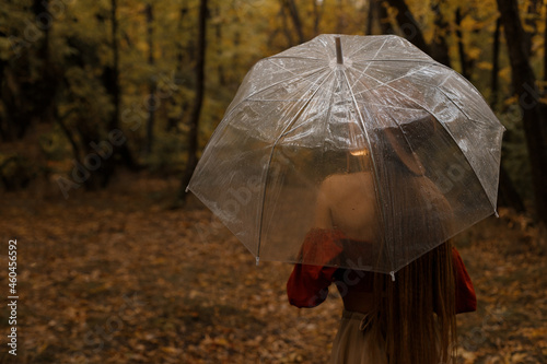 model rear view with a transparent umbrella in autumn on a dark background. autumn blog