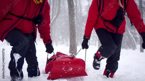 Mountain rescue service provide operation outdoors in winter in forest, pulling injured person in stretcher.