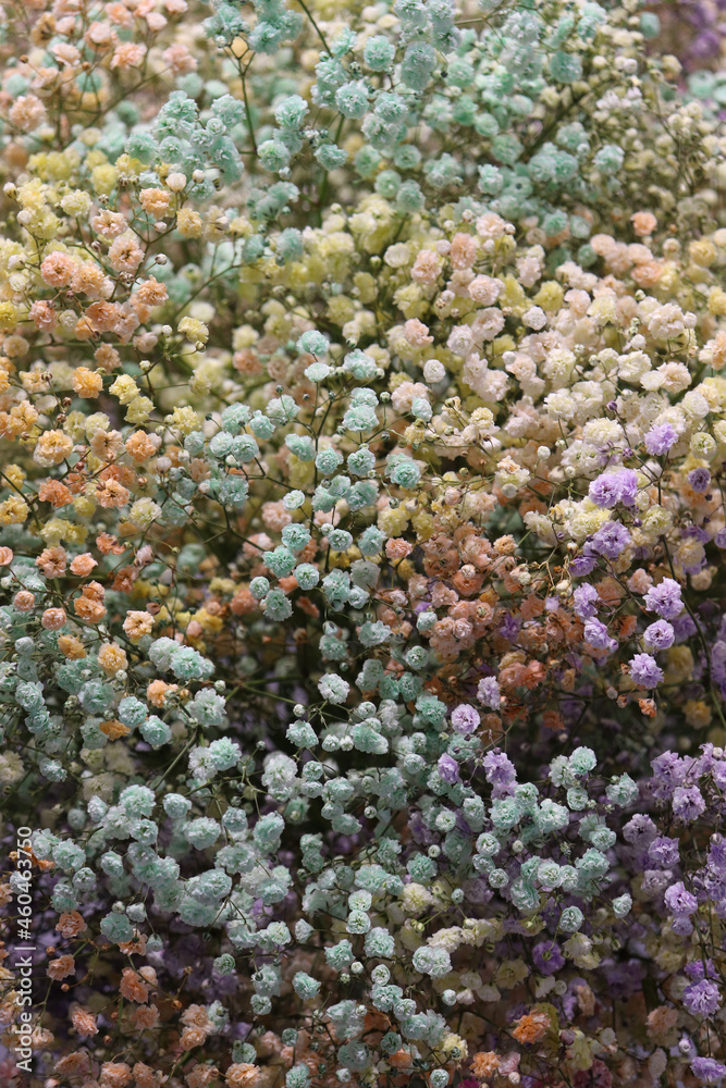 Obraz premium flowers