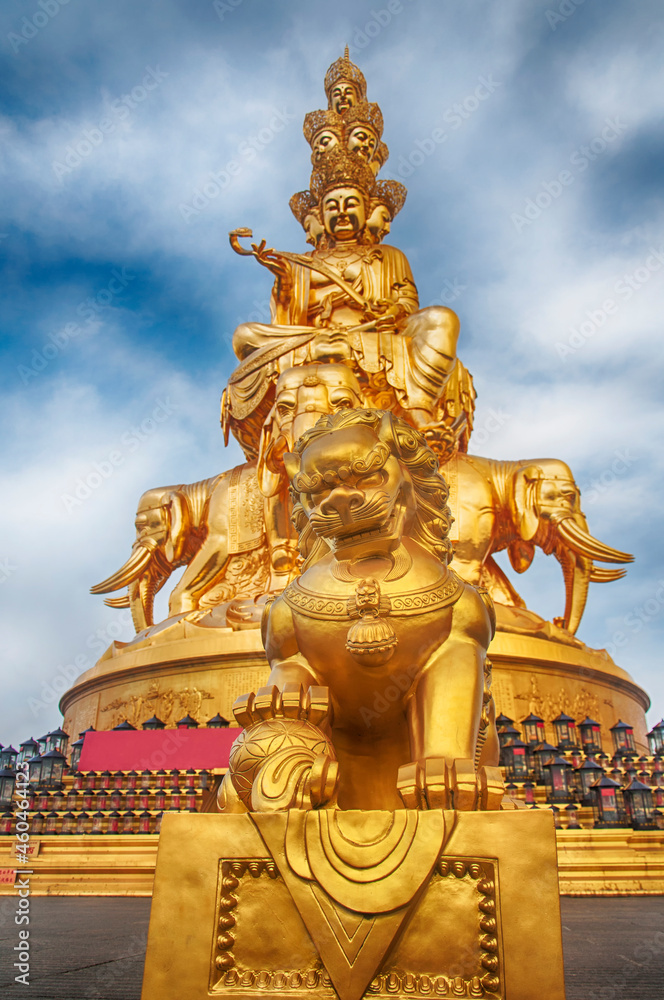 Fototapeta premium a golden lion mount emei sichuna china