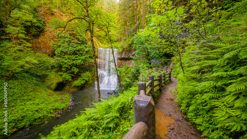 Waterfall in the green fairy forest. Path with wooden fence along small stream. Silver falls state park, USA