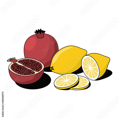 Lemon and pomegranate. Vector 3d sketch line isometric, color icon illustration, flat style. Creative design idea and elements for infographics and website.