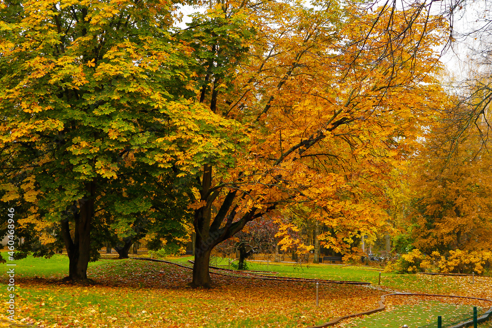Autumn park with colorful trees and bushes - yellow, red and green. Autumn park with colorful trees and bushes - yellow, red and green.