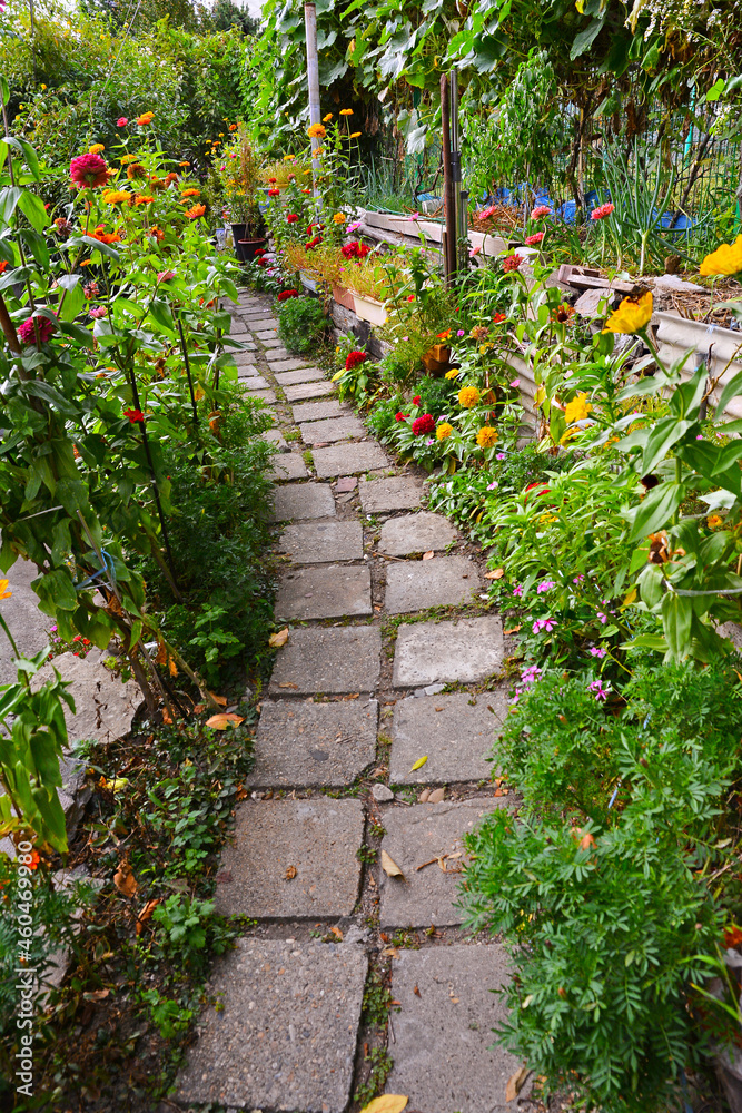 Obraz premium 시골집 진입로의 꽃밭풍경