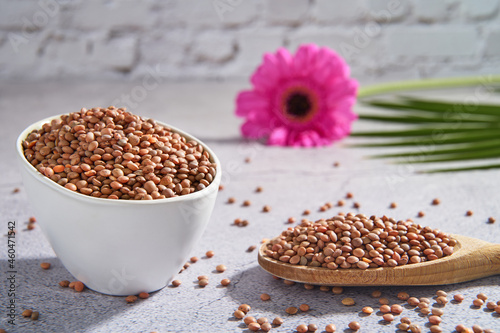 Raw lentils in a bowl and on a wooden spoon. Beautiful background.
