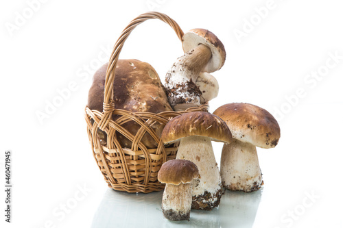 heap of fresh harvested forest mushrooms in basket