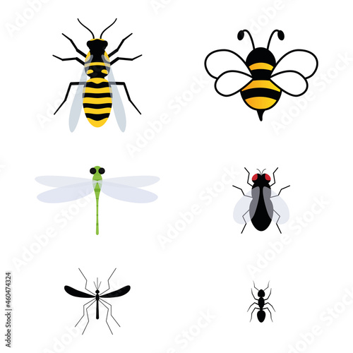 Cute insect characters set. Adorable bee, wasp, ant, dragonfly, fly and mosquito. Vector isolate on white © Віталій Баріда