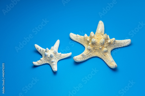 Starfish isolated on a blue background. One dried five finger fish or sea star macro. Summer vacations and sea holidays design element for greeting card