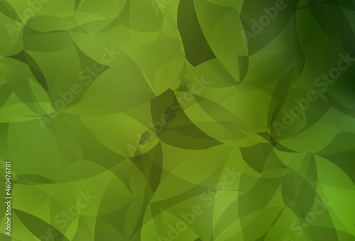 Light Green  Yellow vector shining triangular backdrop.