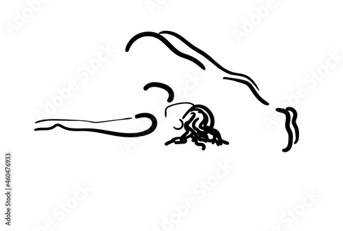 concise drawings depicting yoga poses