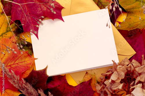 empty card mockup with autumn leaves and dry flowers