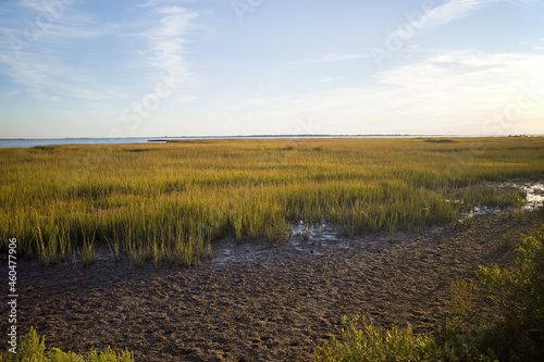 Wetlands and costal marsh in Virginia USA viewed in the golden late afternoon sun on an autumn day. A wetland is a distinct ecosystem that is flooded by water, either permanently or seasonally.