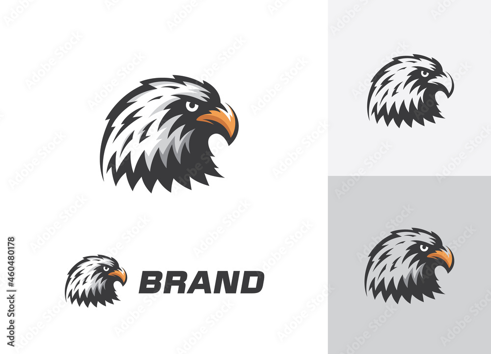 Fototapeta premium Eagle logo. Eagle logo for sale. Eagle mascot design vector illustration.
