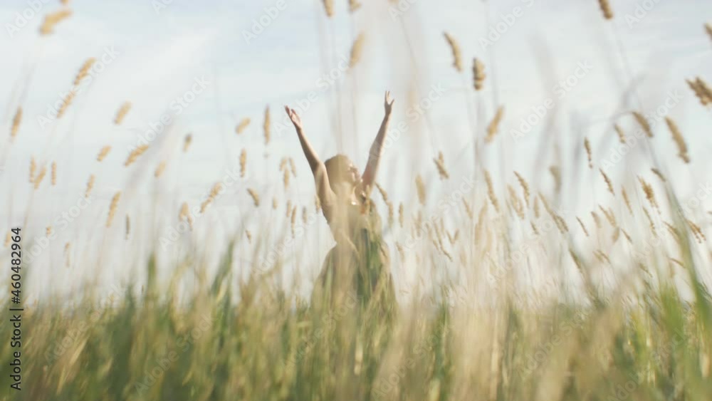 young beautiful pregnant woman walks in field among grass at sunset, relaxation on summer nature, mother swaying with wind and spikelets, meditation and relaxation concept, healthy motherhood young beautiful pregnant woman walks in field among grass at sunset, relaxation on summer nature, mother swaying with wind and spikelets, meditation and relaxation concept, healthy motherhood