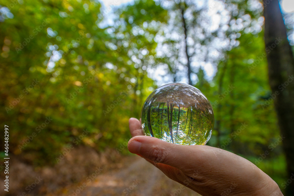 Glass lens ball with forest reflection - ecological concept
