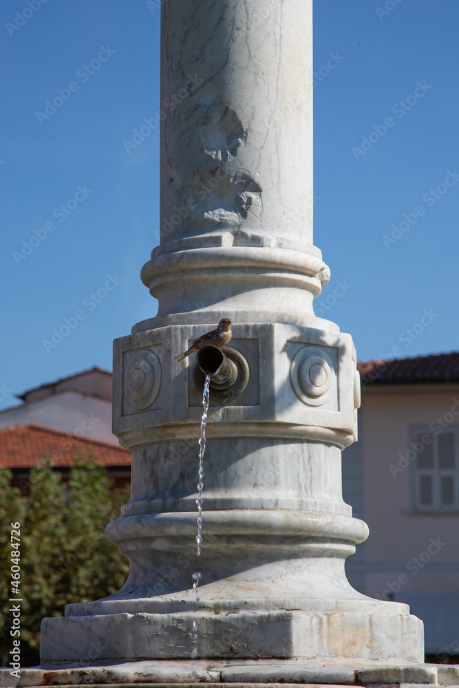 Public fontain with sparrow in Forte dei Marmi, Italòy