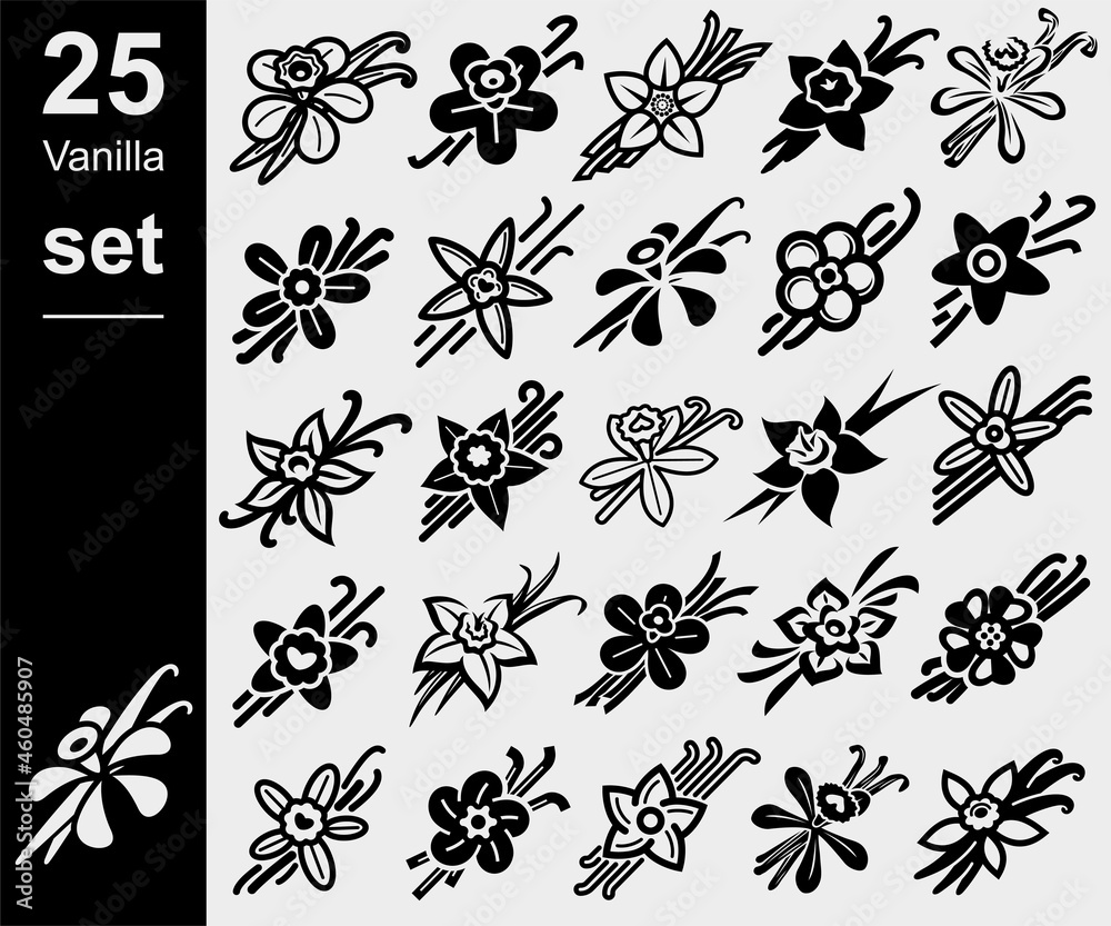 Vanilla set. Collection icon vanilla. Vector Vanilla set. Collection icon vanilla. Vector