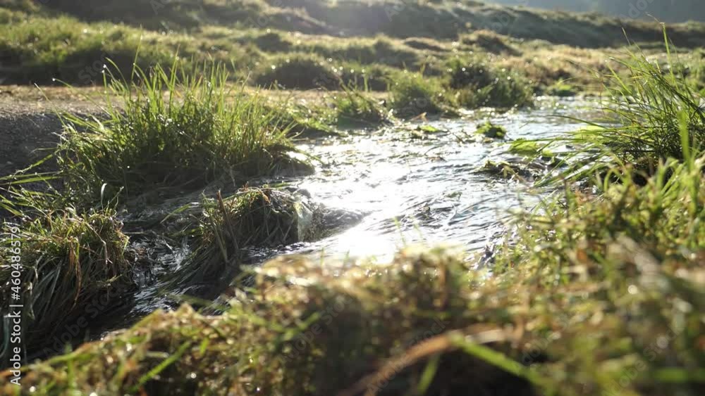 Water flowing off grassland into a stream in the morning sunshine Water flowing off grassland into a stream in the morning sunshine