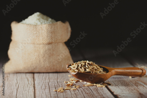 Fototapeta Naklejka Na Ścianę i Meble -  Dry paddy rice on wooden scoop with rustic wood table background. Dark tone