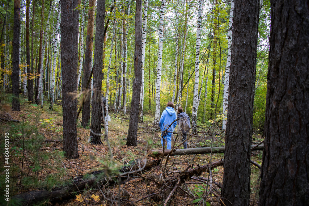 person in the forest person in the forest