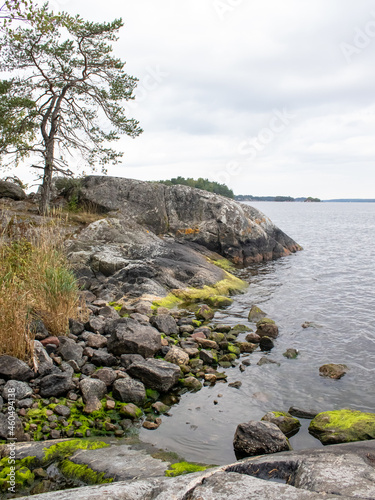 Rocks on island Bergholmen in Stockholm Archipelago