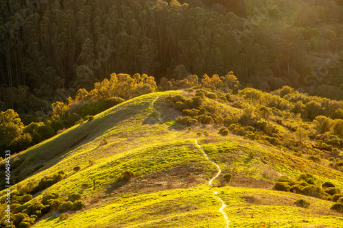 Sunlit landscape