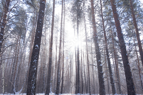 winter