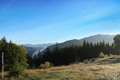 Picturesque view of mountain forest in morning