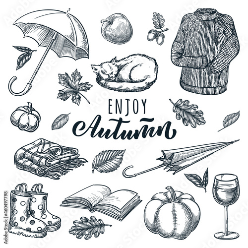 Autumn design elements. Vector sketch illustration. Umbrella, sleeping cat, wine, sweater, pumpkin and book icons