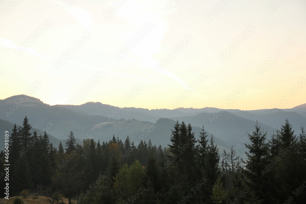 Amazing view of beautiful mountain landscape with forest at sunrise
