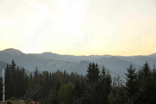 Fototapeta Naklejka Na Ścianę i Meble -  Amazing view of beautiful mountain landscape with forest at sunrise